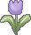 cutecolorsbuntulip2.gif