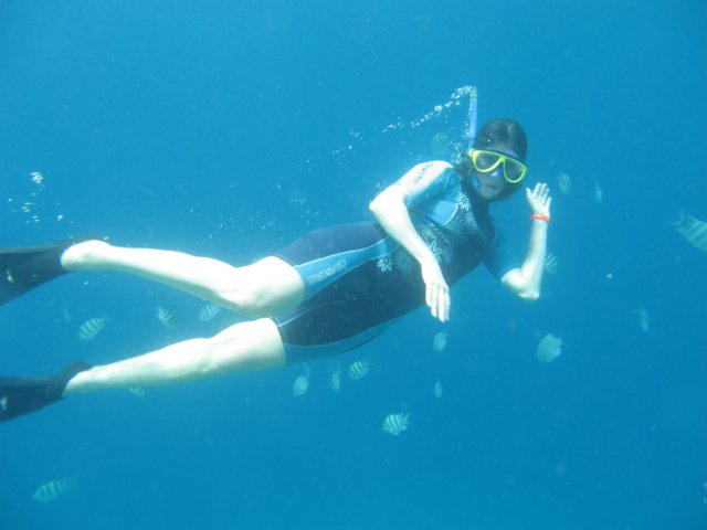 Photograph