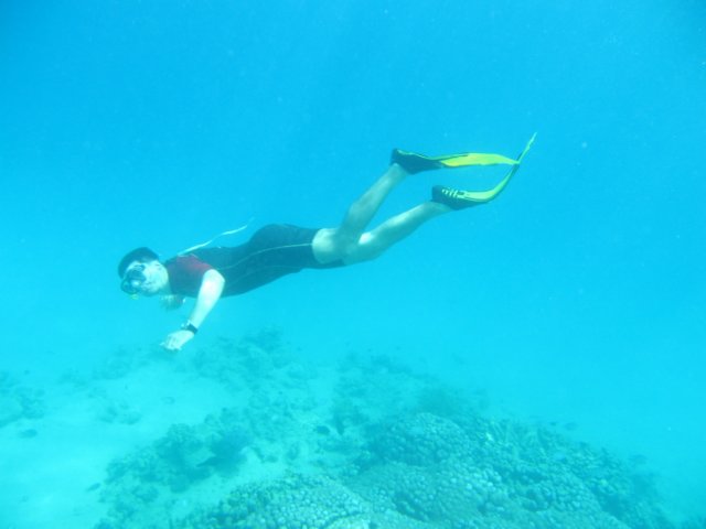 Photograph