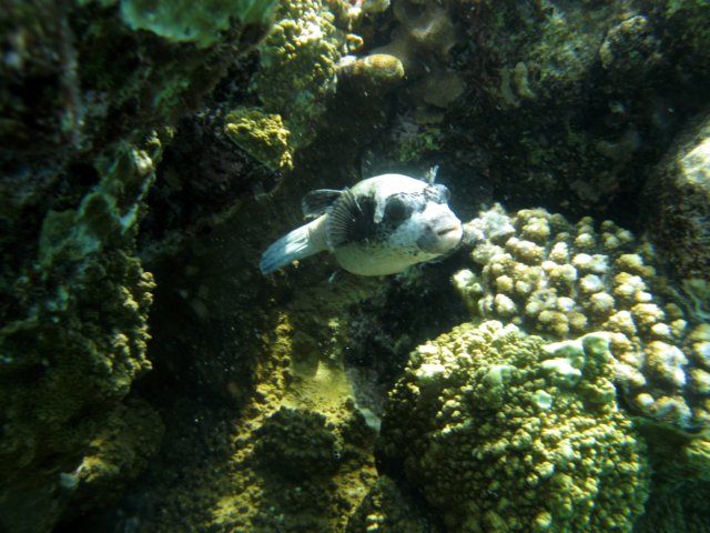 Photograph