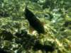 Photo Number 32